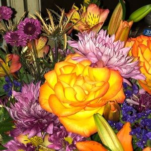 Meet your Posher, Taylor